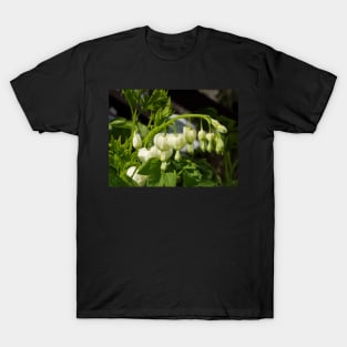 white bleeding hearts #3 T-Shirt